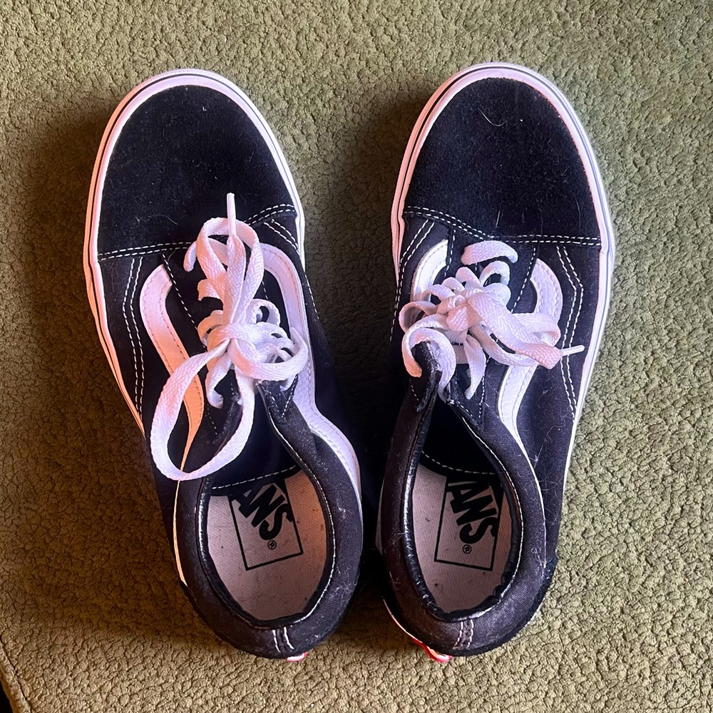 Vans Classic Black and White Sk8-Low Shoes